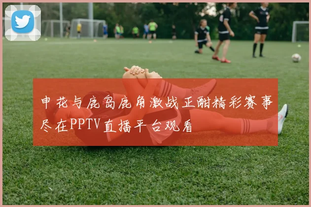 申花与鹿岛鹿角激战正酣精彩赛事尽在PPTV直播平台观看