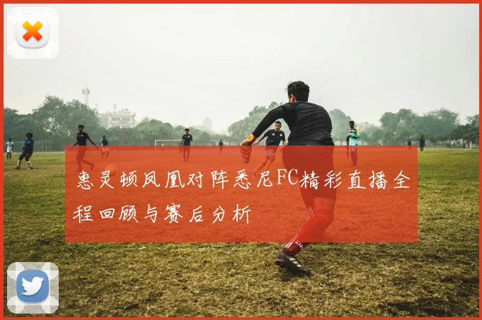 惠灵顿凤凰对阵悉尼FC精彩直播全程回顾与赛后分析